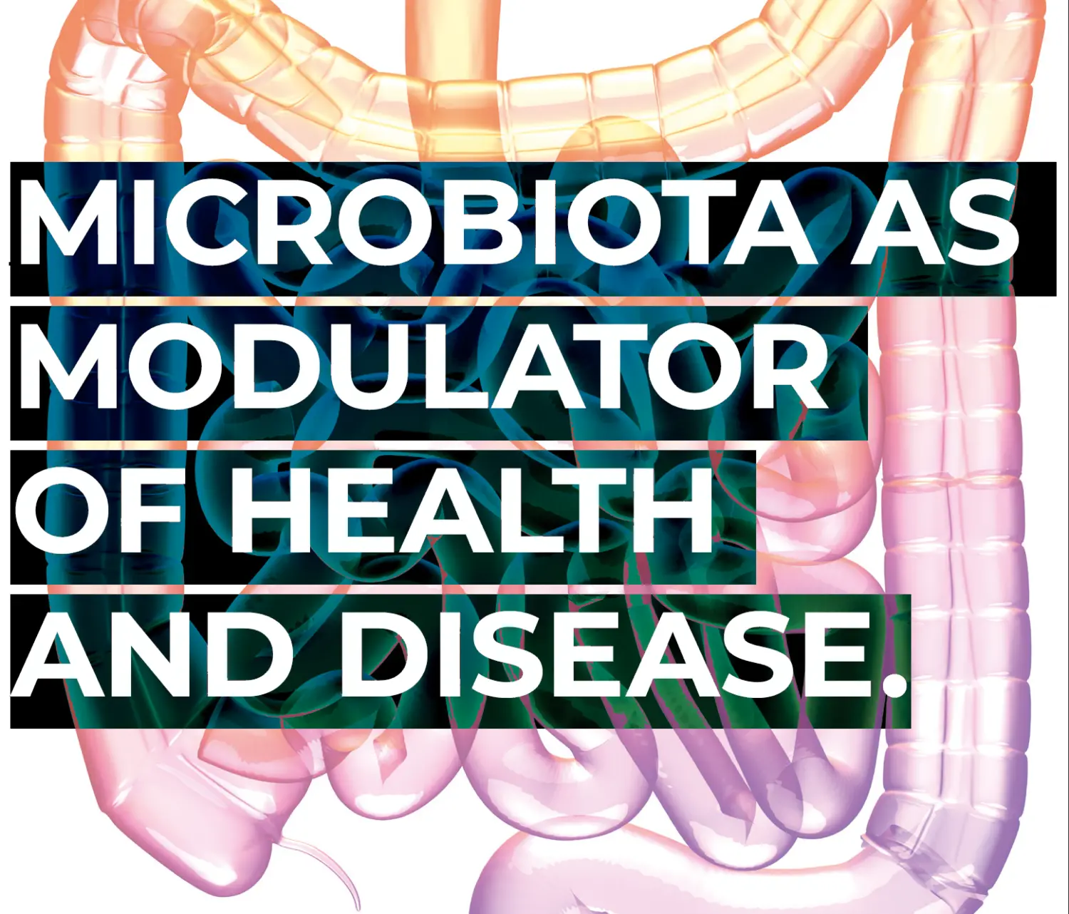 Microbiota as Modulator of Health and Disease.